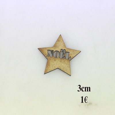 Etoile Noel