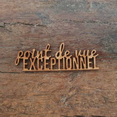 Point de vue exceptionnel BOIS ou CARTON BOIS