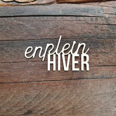 En plein hiver BOIS ou CARTON BOIS