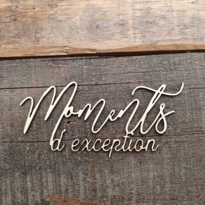 Moments d'exception BOIS ou CARTON BOIS