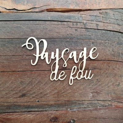 Paysage de fou BOIS ou CARTON BOIS