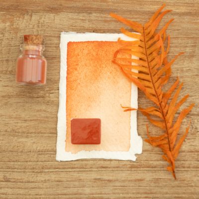 Demi godet Extrait d'amanite- Aquarelle à l'unité ( Palette Chaudron Magique )