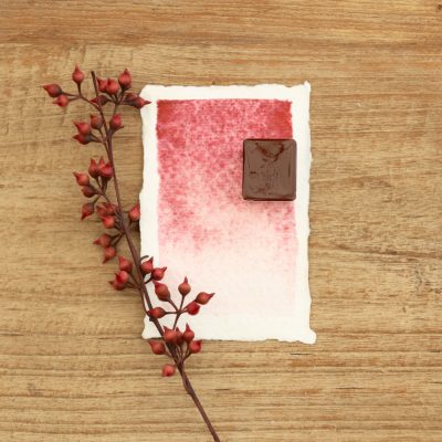 Demi godet Sang de dragon- Aquarelle à l'unité ( Palette Chaudron Magique )