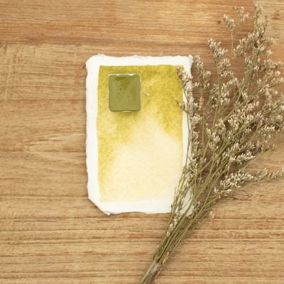 Demi godet Arsénic- Aquarelle à l'unité ( Palette Chaudron Magique )