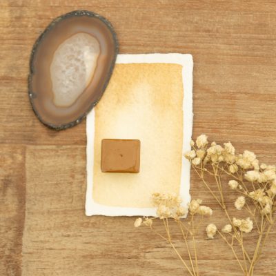 Demi godet Désert ardent - Aquarelle à l'unité ( Palette Nature Sauvage )