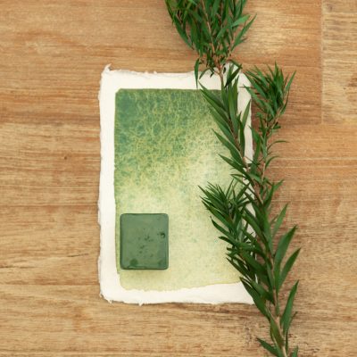 Demi godet Feuillage Lumineux - Aquarelle à l'unité ( Palette Nature Sauvage )