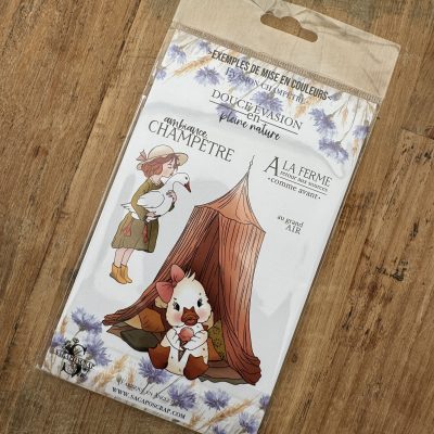 PLANCHE A6 - Evasion champêtre - L'amie à plumes