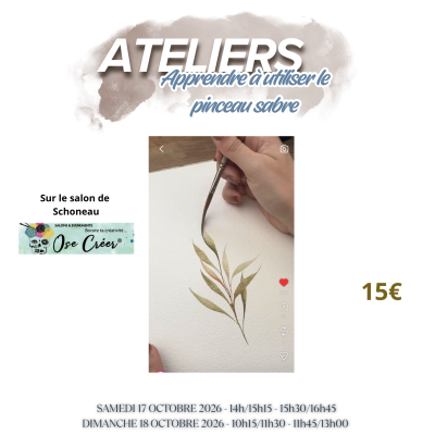 ATELIER SALON SCHONEAU - TECHNIQUES AQUARELLES - Dimanche 18 OCT 2026 11h45-13H