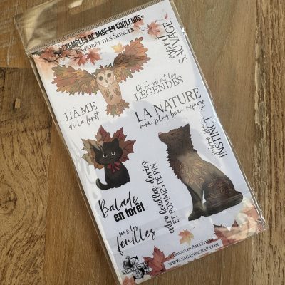 PLANCHE A6 - La forêt des songes - Le bal des feuilles